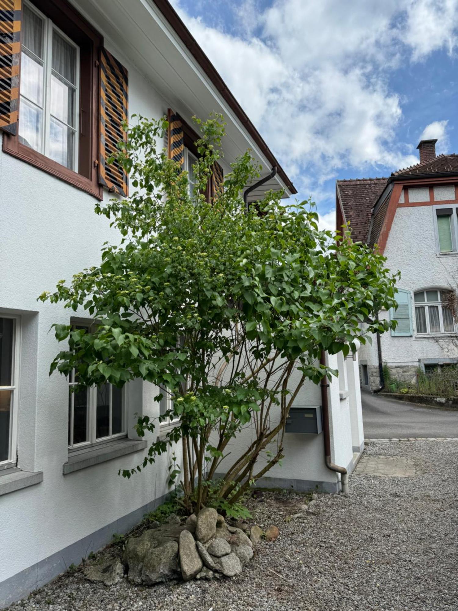 Garden House Villa Interlaken Kültér fotó